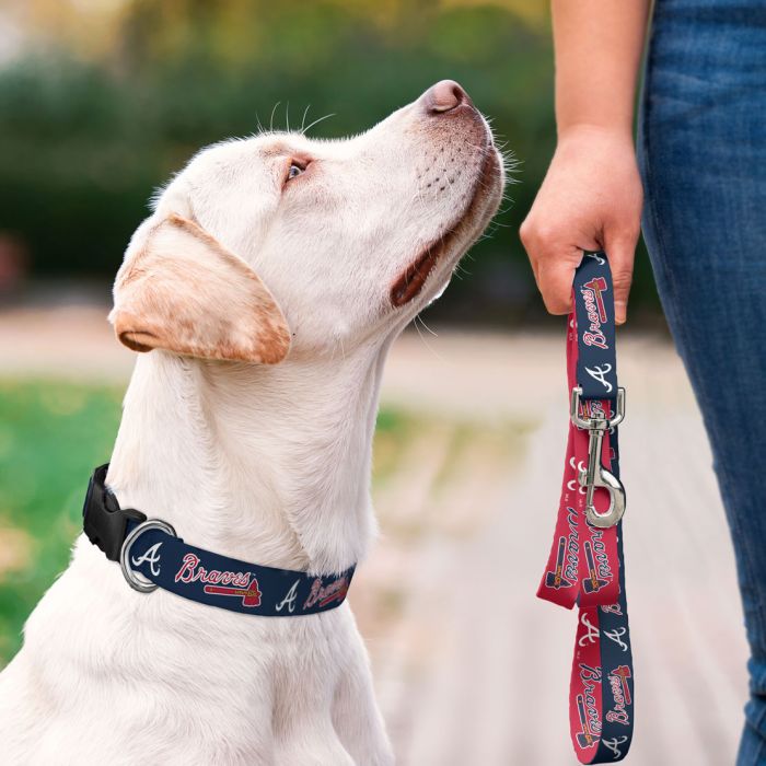 Texas Rangers Dog Collar or Leash