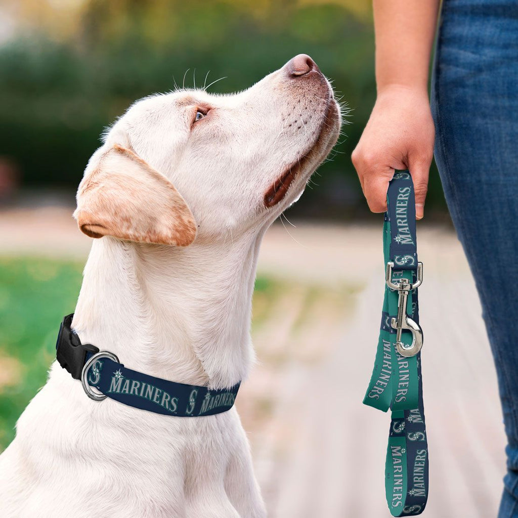 MLB Chicago Cubs Collar Cubs Dog Collar Personalized Collar 