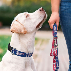 Texas Rangers Pet Collar