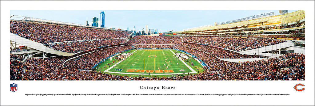 Chicago Bears - End Zone - Deluxe Frame