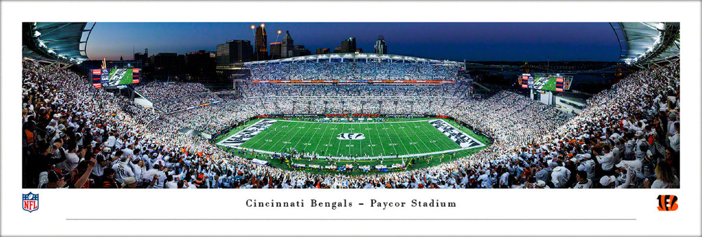 cincinnati bengals paycor