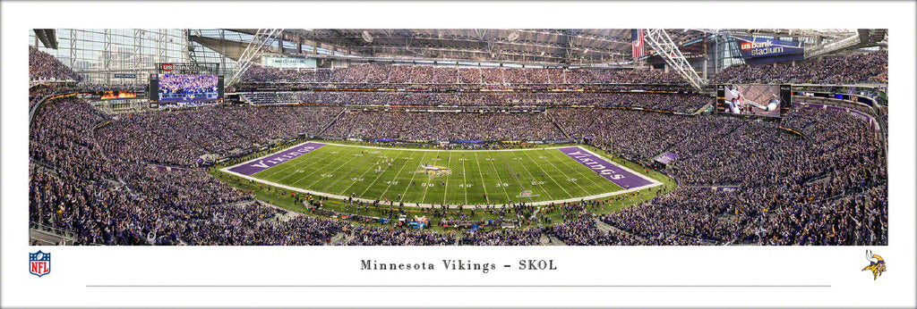 Minnesota Vikings SKOL skulls - Football & Sports Background