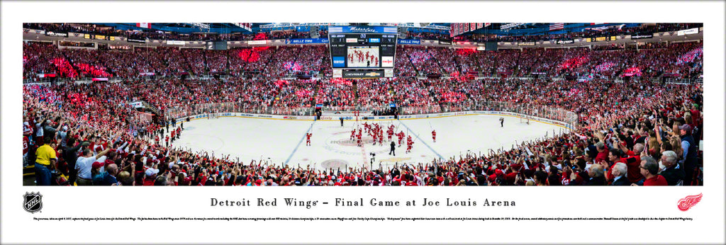 My Farewell to Joe Louis Arena in Detroit - Detroit Headshot