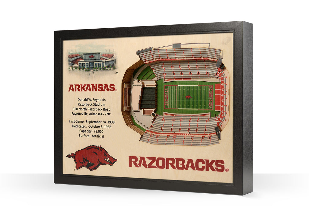 Arkansas Razorbacks Ronald Reynolds Razorbacks Stadium 3D