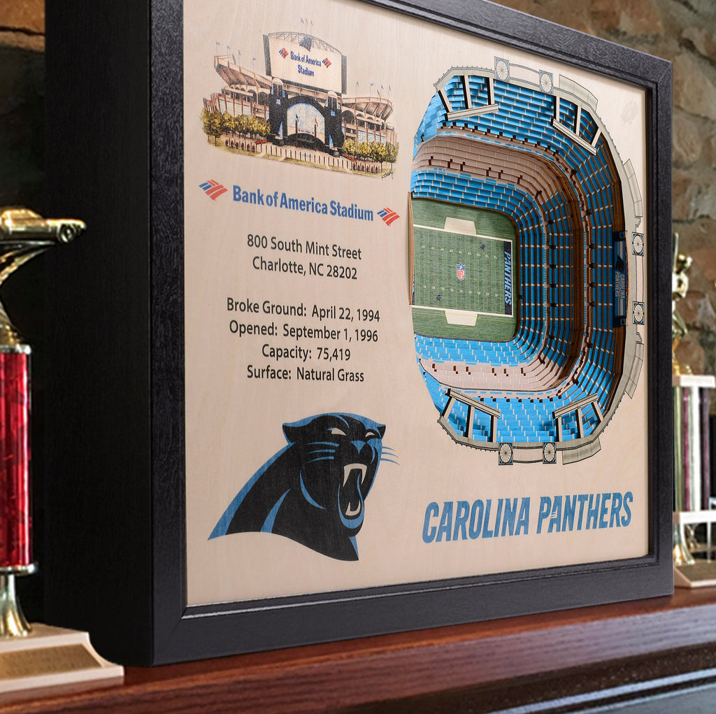 Carolina Panthers Poster - Bank of America Stadium