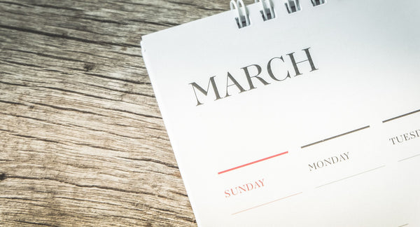 March Madness: From Blue Bloods to Cinderella Stories 