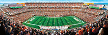 Cleveland Browns Panoramic Puzzle