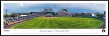 Auburn Tigers Baseball Plainsman Park Panoramic Picture