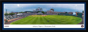 Auburn Tigers Baseball Plainsman Park Panoramic Picture