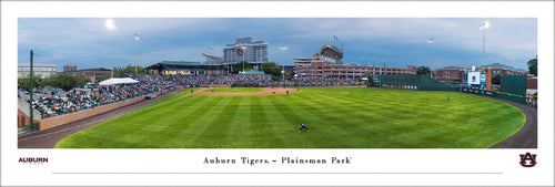Auburn Tigers Baseball Plainsman Park Panoramic Picture