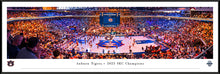 Auburn Tigers Basketball 2025 SEC Champions Panoramic Picture