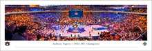 Auburn Tigers Basketball 2025 SEC Champions Panoramic Picture