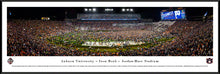 Auburn Tigers Football Jordan-Hare Stadium Panoramic Picture Auburn Tigers Football Jordan-Hare Stadium Iron Bowl Panoramic Picture