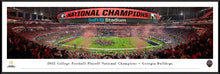 Georgia Bulldogs 2022 CFP National Champions Panoramic Picture