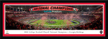 Georgia Bulldogs 2022 CFP National Champions Panoramic Picture