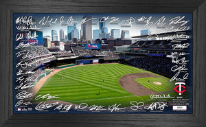Minnesota Twins Signature Field