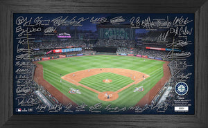 Seattle Mariners Signature Field