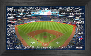 Toronto Blue Jays Signature Field