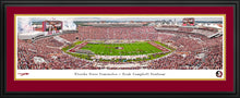 Florida State Seminoles Doak Campbell Stadium 50 Yard Line Panoramic Picture