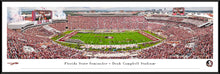 Florida State Seminoles Doak Campbell Stadium 50 Yard Line Panoramic Picture