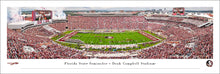 Florida State Seminoles Doak Campbell Stadium 50 Yard Line Panoramic Picture