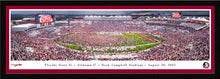 Florida State Seminoles Doak Campbell Stadium Storm The Field Panoramic Picture
