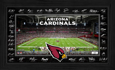 Arizona Cardinals 2025 NFL Signature Gridiron