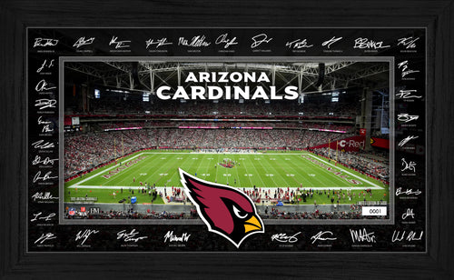 Arizona Cardinals 2025 NFL Signature Gridiron