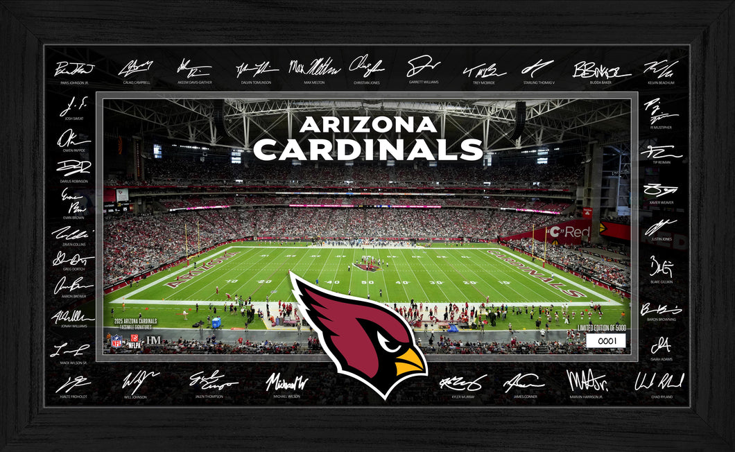 Arizona Cardinals 2025 NFL Signature Gridiron