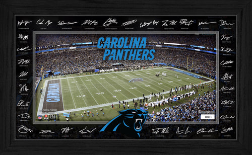 Carolina Panthers 2025 NFL Signature Gridiron