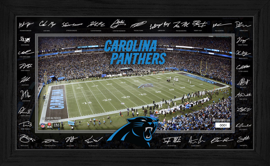 Carolina Panthers 2025 NFL Signature Gridiron