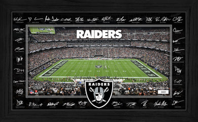 Las Vegas Raiders 2025 NFL Signature Gridiron