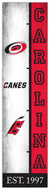 Carolina Hurricanes Team Logo Evolution Wood Sign -  6"x24"