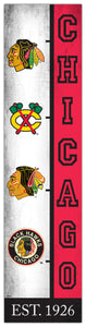Chicago Blackhawks Team Logo Evolution Wood Sign -  6"x24"