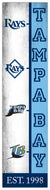 Tampa Bay Rays Team  Logo Evolution Wood Sign -  6"x24"