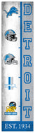 Detroit Lions Team Logo Evolution Wood Sign -  6"x24"