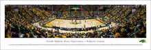 North Dakota State Bison Basketball SCHEELS Center Panoramic Picture