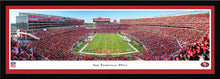 San Francisco 49ers End Zone Panoramic Picture