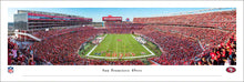 San Francisco 49ers End Zone Panoramic Picture