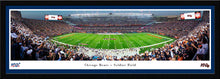 Chicago Bears Soldier Field 100th Season Panoramic Picture