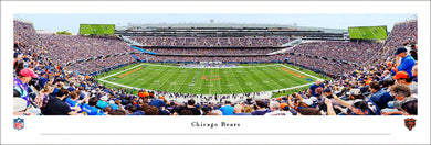 Chicago Bears Soldier 50 Yard Line Panoramic Picture