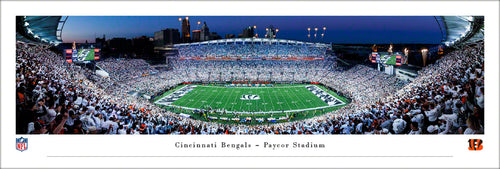 Cincinnati Bengals 50 Yard Line Paycor Stadium Panoramic Picture