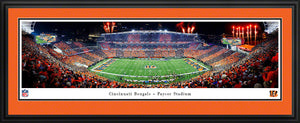 Cincinnati Bengals Stripe The Jungle Stadium Panoramic Picture