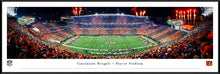 Cincinnati Bengals Stripe The Jungle Stadium Panoramic Picture