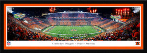 Cincinnati Bengals Stripe The Jungle Stadium Panoramic Picture