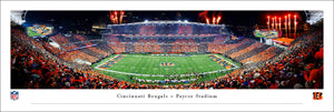 Cincinnati Bengals Stripe The Jungle Stadium Panoramic Picture