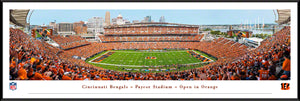 Cincinnati Bengals Orange Out Panoramic Picture