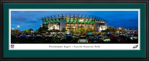 Philadelphia Eagles Lincoln Financial Line Panoramic Picture