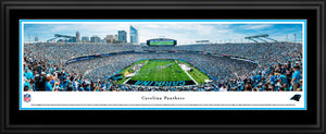 Carolina Panthers Bank of America Stadium Endzone Panoramic Picture