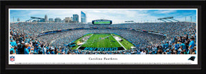 Carolina Panthers Bank of America Stadium Endzone Panoramic Picture